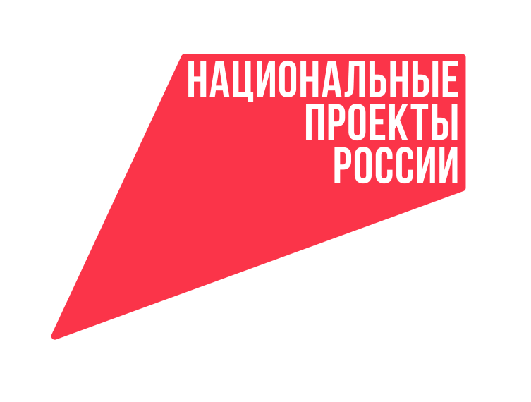 Федеральный проект «Безопасность дорожного движения» национального проекта «Инфраструктура для жизни» на 2025 – 2030 годы.